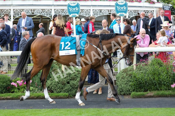 yr18082022r6-3 - Race 6 4.45 pm OR8wellness ebfstallions Nursery Handicap