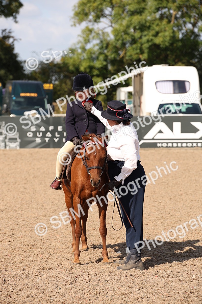SBM_03031 - Class 17 Prettiest Mare IH or Ridden
