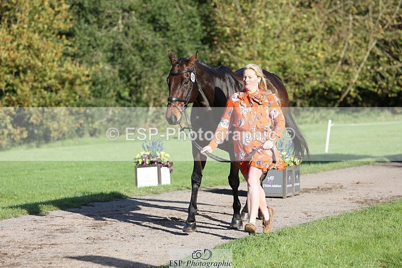 241027-092829-15320 - 420-Pip.Howarth-OTTAVA