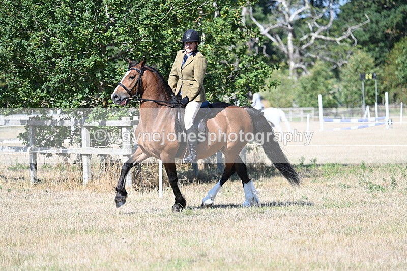 WJ7_3756 - Class 9 Mountain & Moorland Ridden