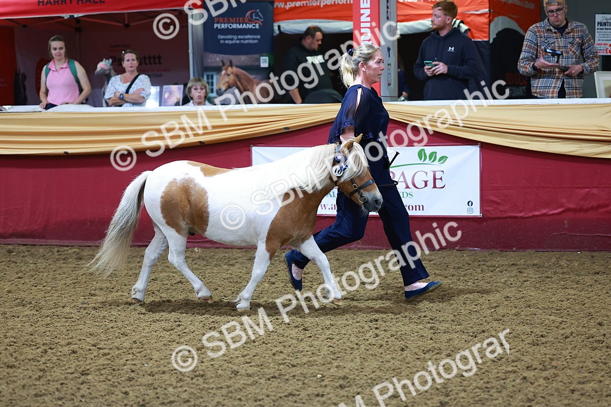 SBM_14723 - Class C - Novelty champ