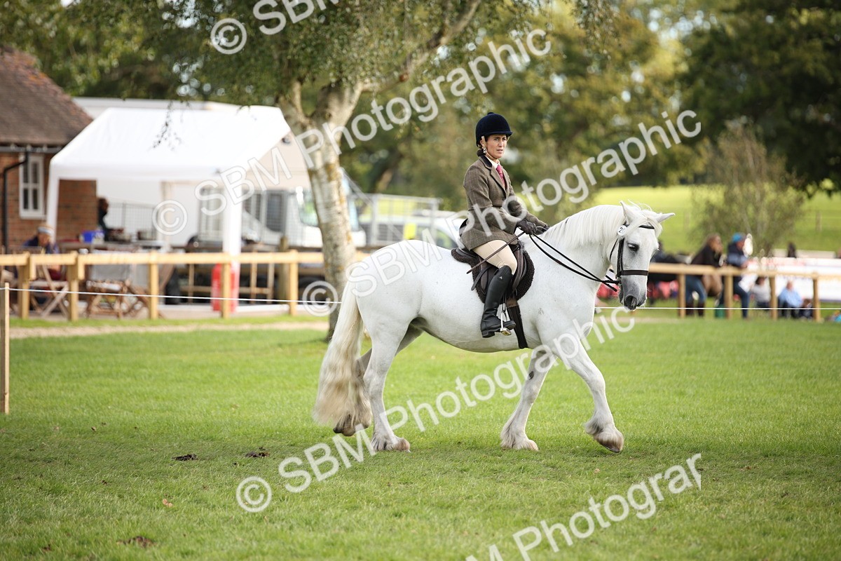 SBM_54257 - S27 - Mature Veteran - Ridden