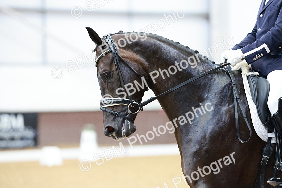 SBM_006293 - Class 3 - Medium 6 - 16.16-17.28