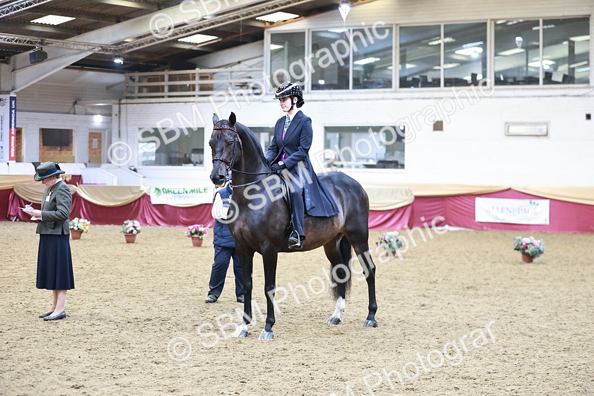 SBM_09072 - Class 12R - Regional Ridden Pre-Vet