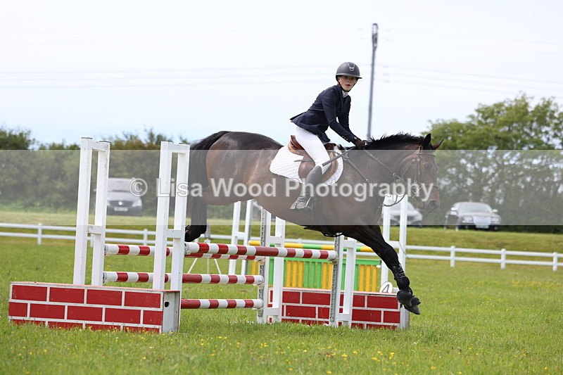 3E7A1567 - Class 13: Senior British Novice/90cm open
