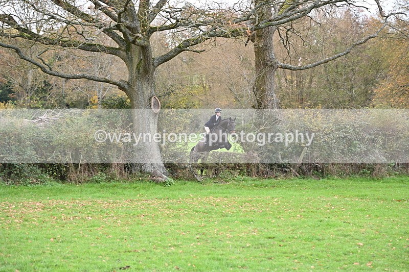 WJ6_1493 - Camera 1