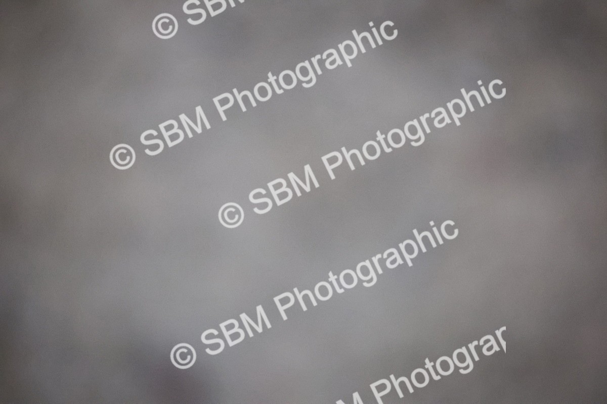 SBM_006418 - Evening Performance