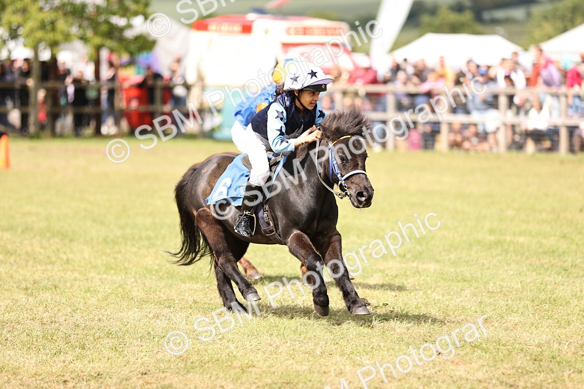 SBM_16536 - Dinky Derby