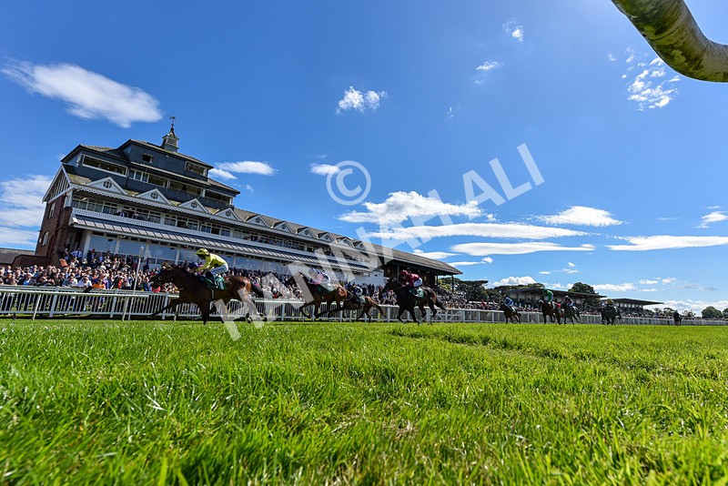160624-Race 1-Alice Fairfax-2-4 - Race 1