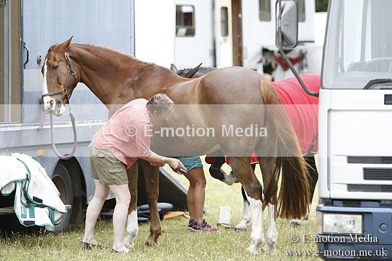 BVR160717-1278 - Caught on Camera 16/07/17