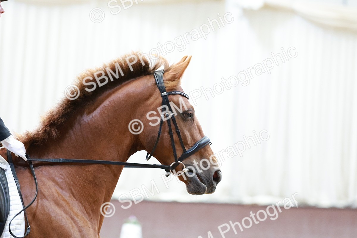 SBM_003954 - Class 11-8 - PYO- Novice 4