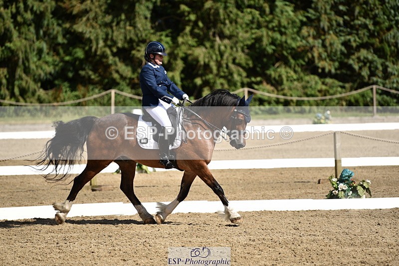 140110A-050246-12365 - 158-Alison.Crimp-Crwys.Beau