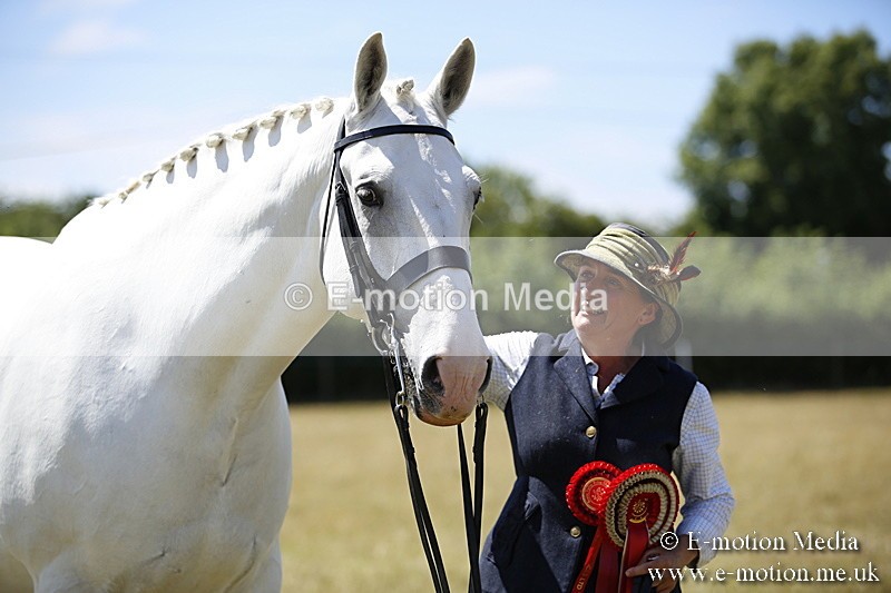 _C7A0172 - In Hand Championship BVRC Show 2018