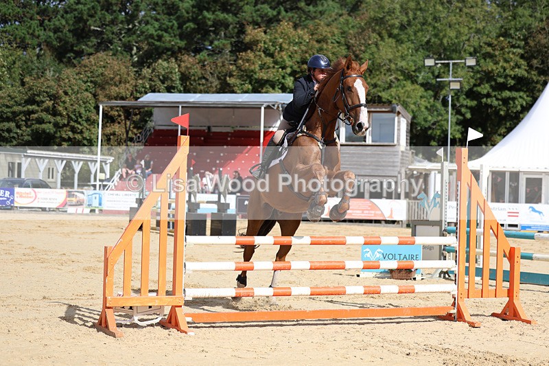 3E7A2106 - Class 4: Senior British Novice/90cm open