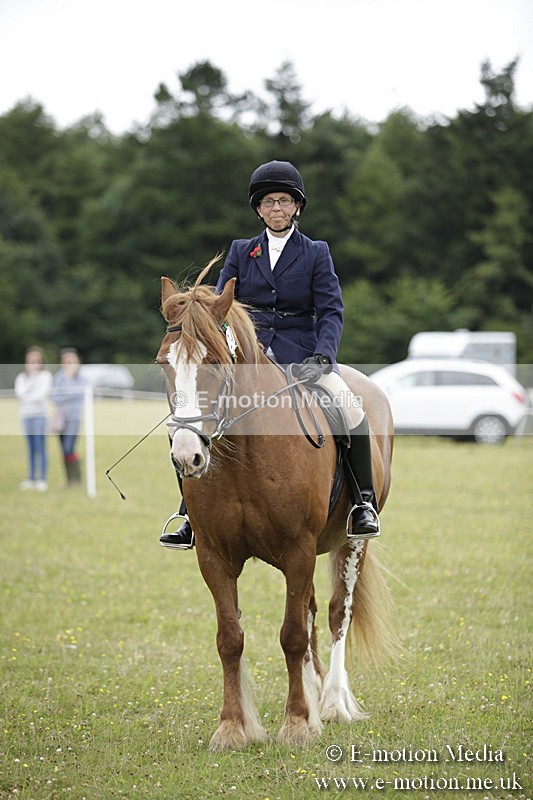 BVR160717-1543 - Ring 1 BVRC Show 16/07/17