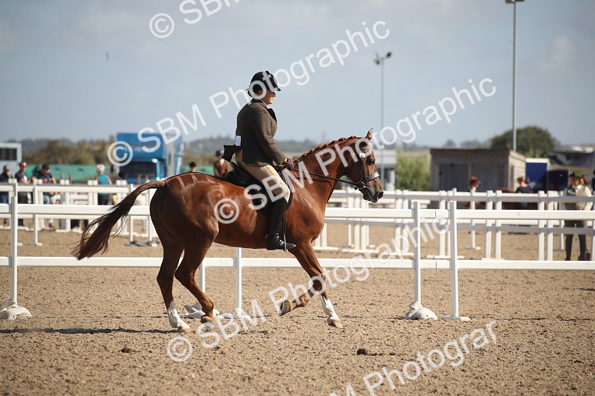 SBM_22973 - Class 603 - 2026 - Ridden Pre Vet
