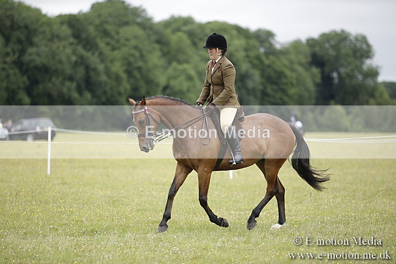 BVR160717-814 - Ring 1 BVRC Show 16/07/17