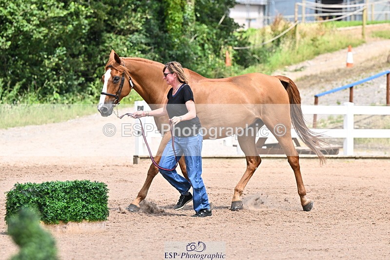 240718A-105320-01859 - Trot Up 1pm to 2pm