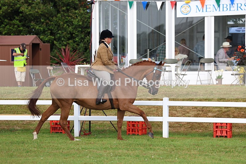 3E7A8231 - Class 2: Rising Star Large Hack/Riding Horse