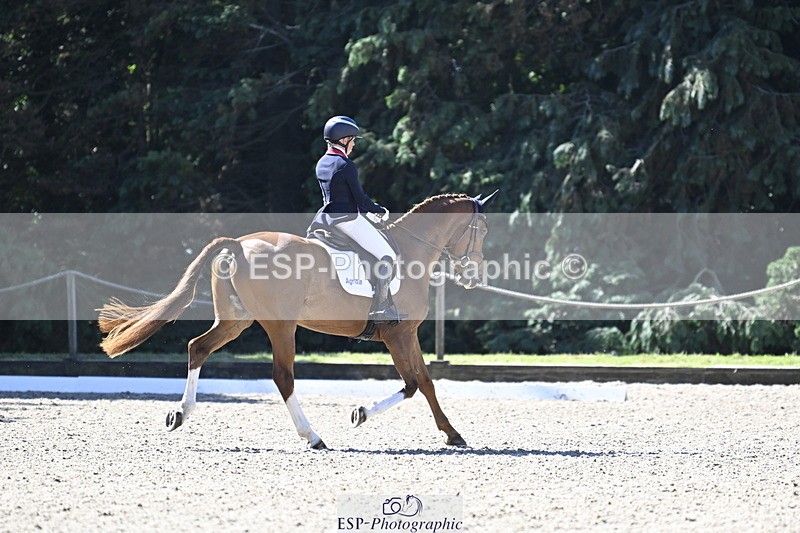 250522A-095908-02589 - B-307-Rosalind.Canter-SILVESTERS.FINESSE