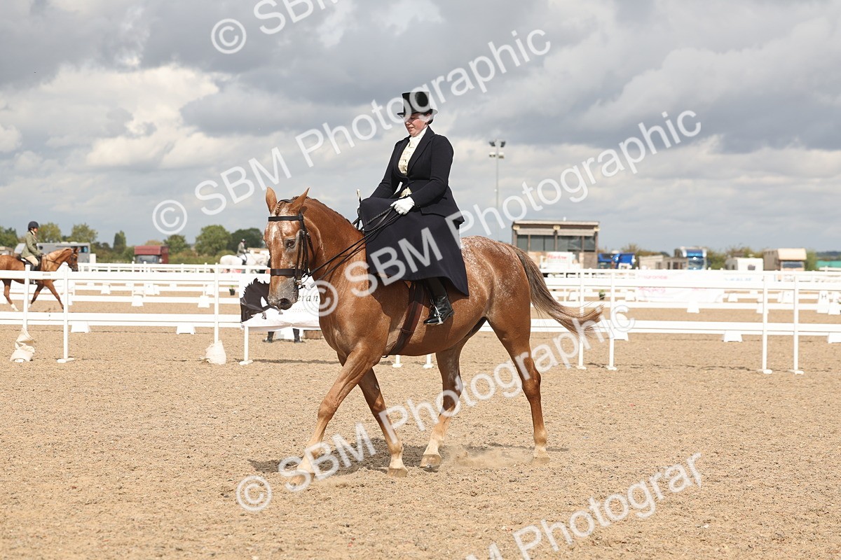 SBM_06368 - Class 22 - SSA - Equitation