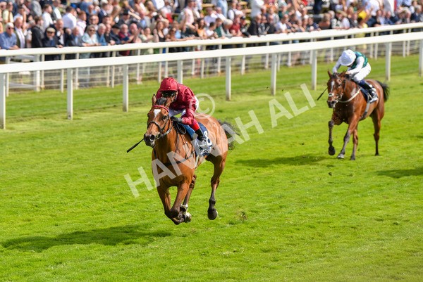 170523-Race 4-Soul Sister-8753 - Race 4 3.35pm Tattersalls Musidora Stakes
