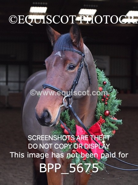 BPP_5675 - Imogen Gray