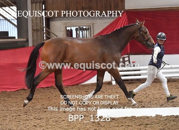 BPP_1328 - MORNING 9AM - 12PM