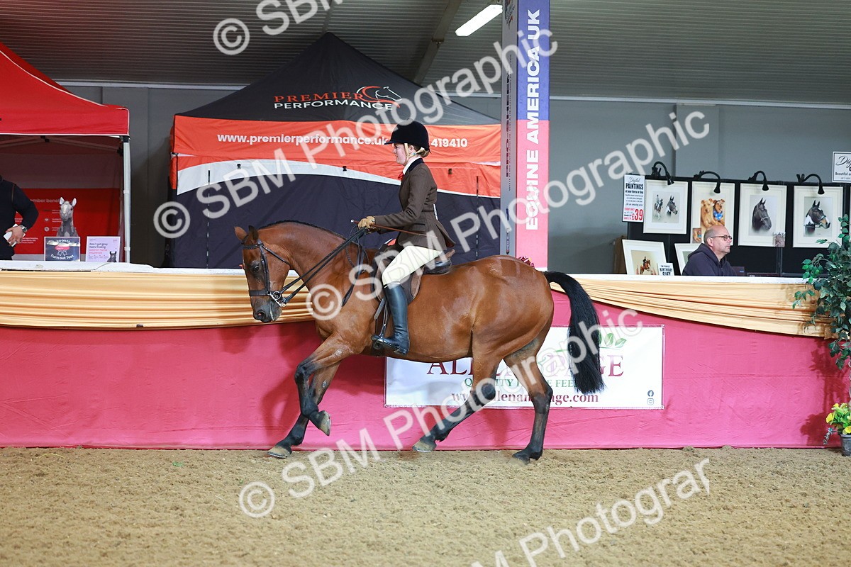 SBM_07640 - Class 101 - HOYS Veteran Qualifier - Ridden Diamond