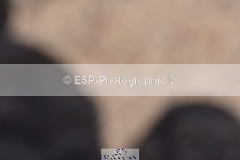 240706A-150444-03409 - Cls 4C Snr Novice 23