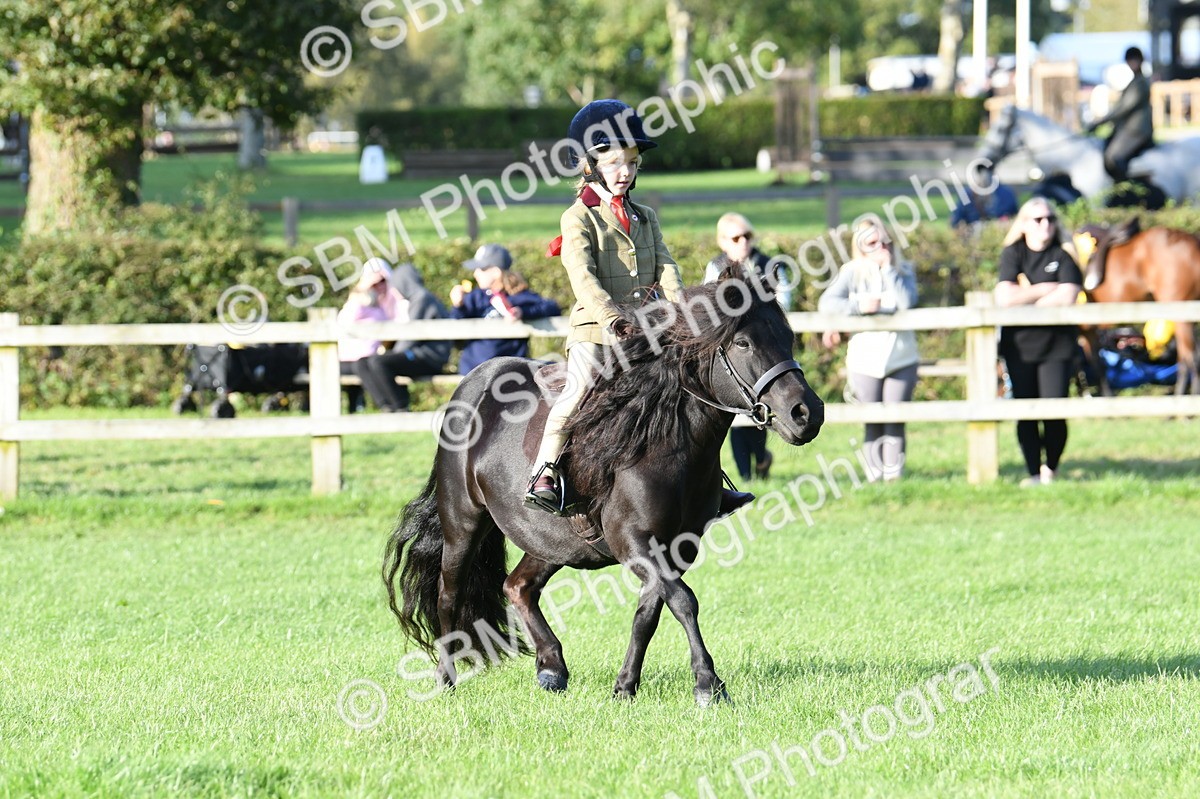 SBM_54057 - S23 - 1st Ridden Mountain & Moorland Pony