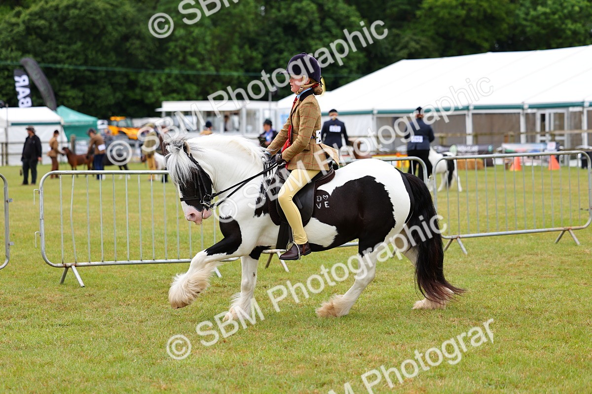 SBM_02636 - Class 9-11 Side Saddle including LIHS Rising Star Ladies Show Horse
