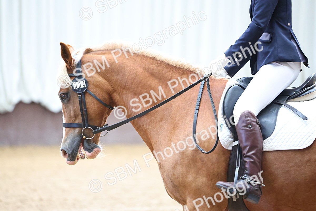 SBM_004839 - Class 2 - Prelim 4-5