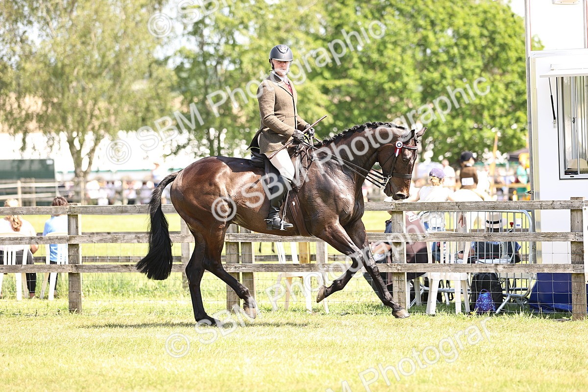 SBM_14868 - Class 78 - LIHS BSHA Open Racehorse & Show Horse