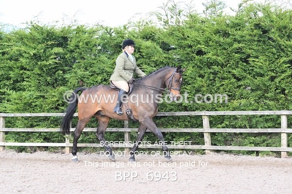 BPP_6943 - RING 1  (RIDDEN HORSES / IN HAND / VETERAN ETC)