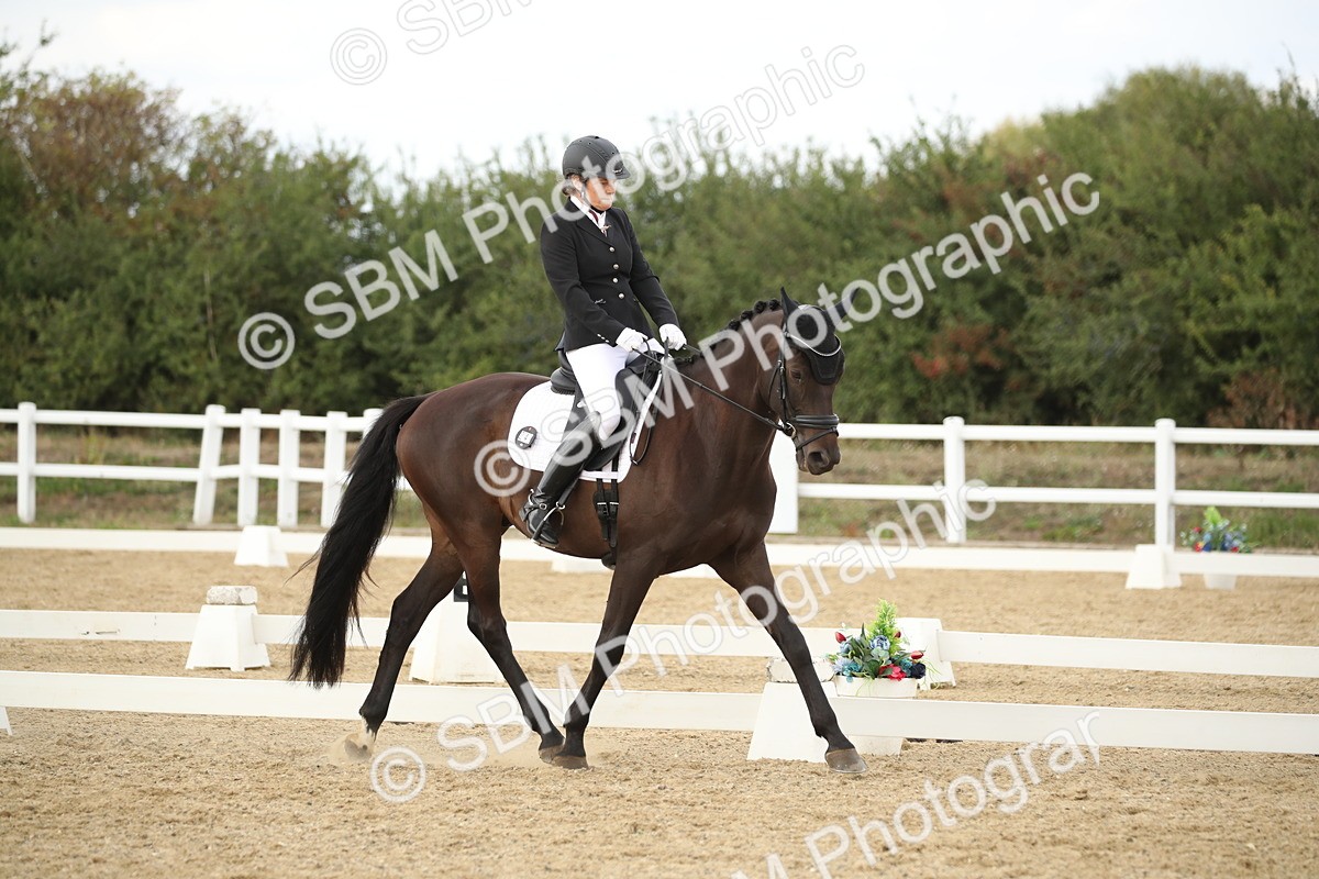 SBM_003016 - Class 6 - Elementary 5 - 14.50-15.46