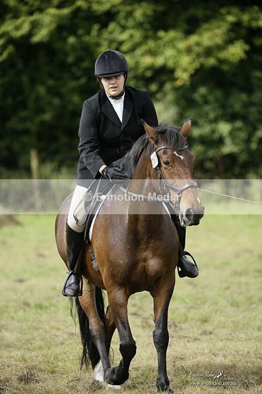 BVRC 120921 441 - Bourne Valley Riding Club UA Dressage & Show Jumping 12/09/21