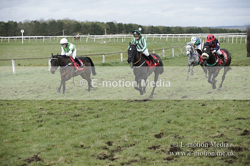 PtP 150320 0761 - New Forest Point-to-Point Larkhill 15/03/20
