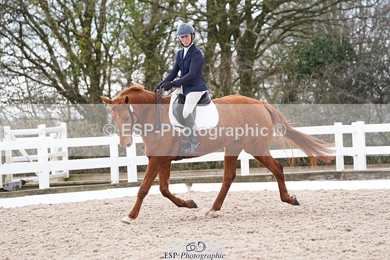 250322-131524-00474 - DR Elementary 2 Test