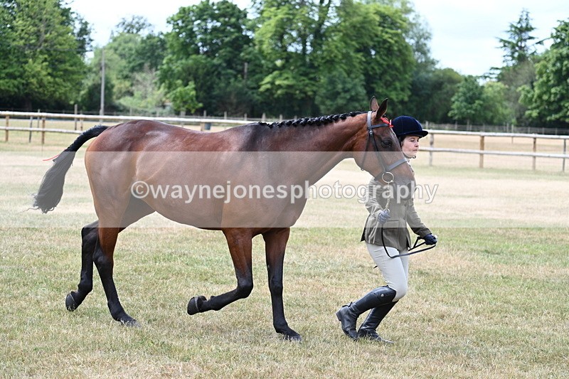 WJ7_1905 - Class 4a Prettiest Mare 14.2hh and over hand