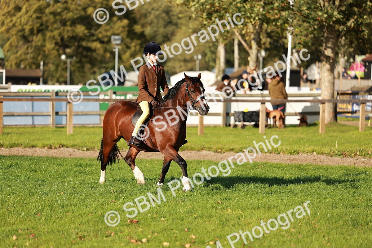 SBM_28720 - S7 - Novice & Newcomer Ridden Pony