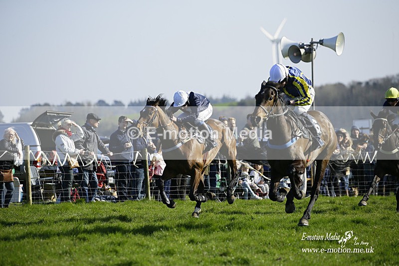 PtP 190322 730 - Wilton Hunt PtP Milborne St Andrew 19/03/22