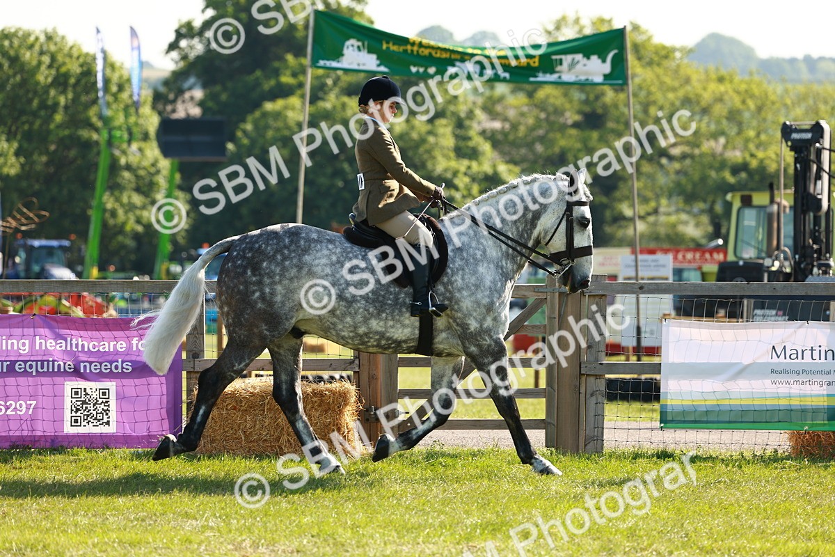 SBM_11756 - Class 66-69 - RIHS Ridden Hunters Inc Small Hunter