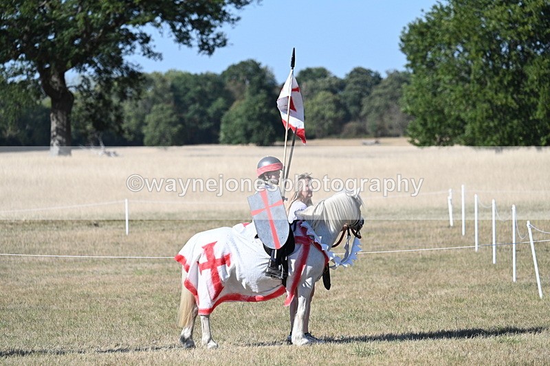 WJ7_2772 - Class 45 Fancy Dress (My Fav)