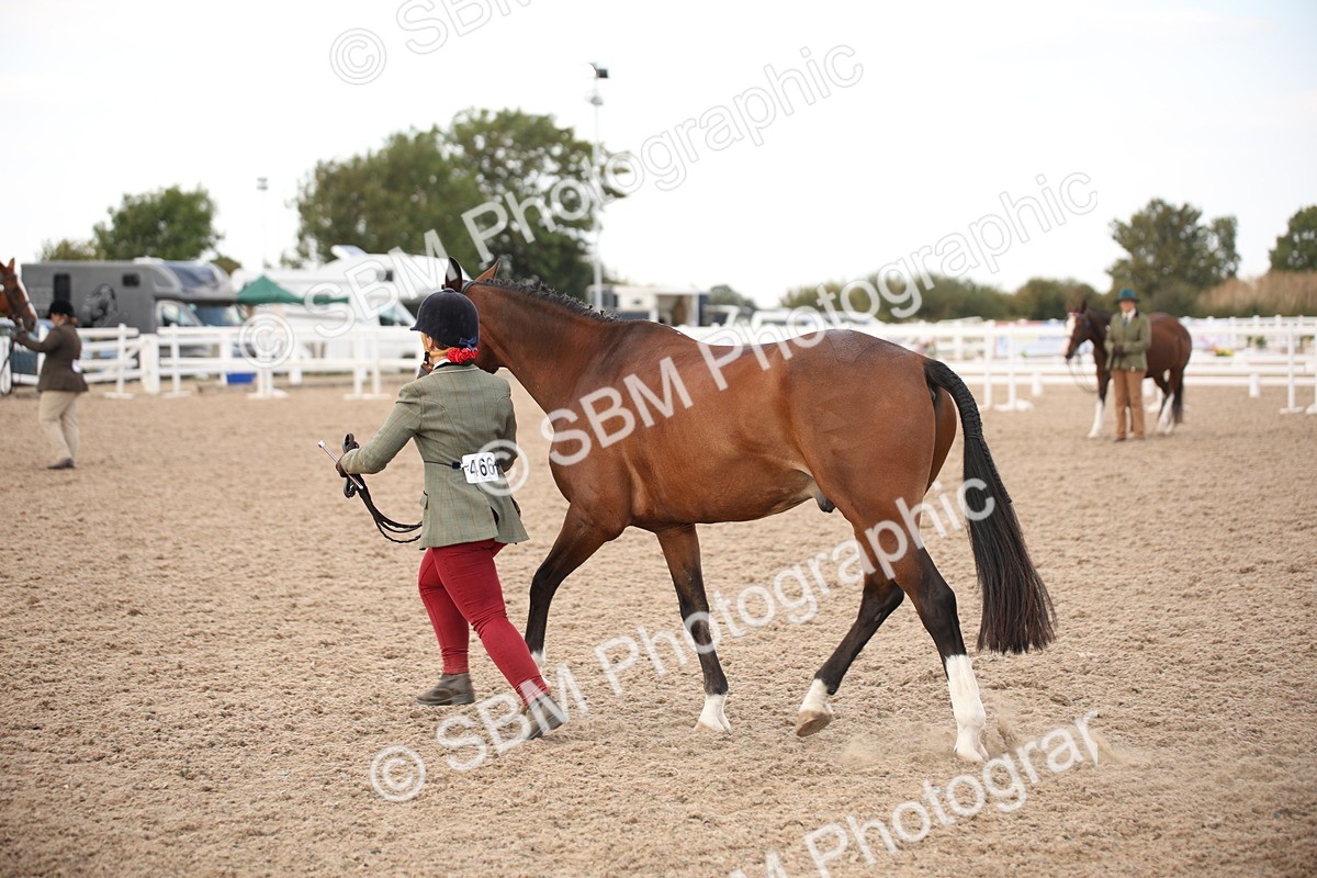 SBM_08224 - Class 27 - IH Competition Horse-Pony