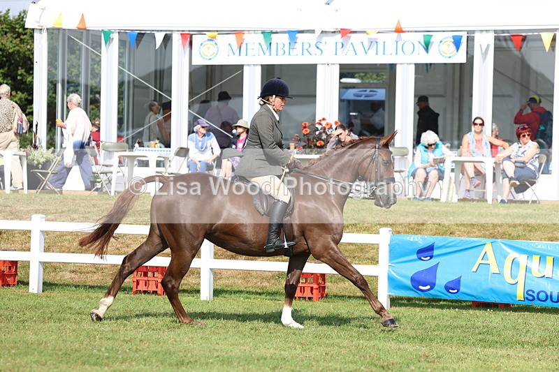 3E7A8760 - Class 3: Rising Star S/L Hunter