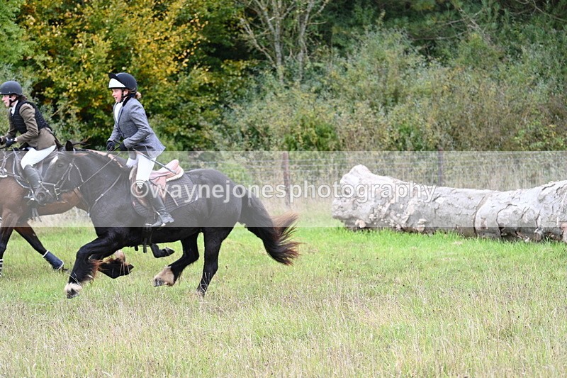 WJ7_3907 - Camera 1 Line 1