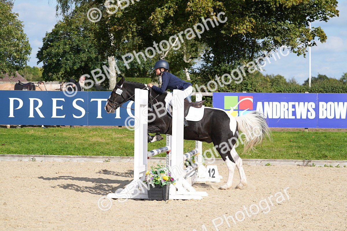 SBM_48731 - J22 - Junior Horse 65cm Championship