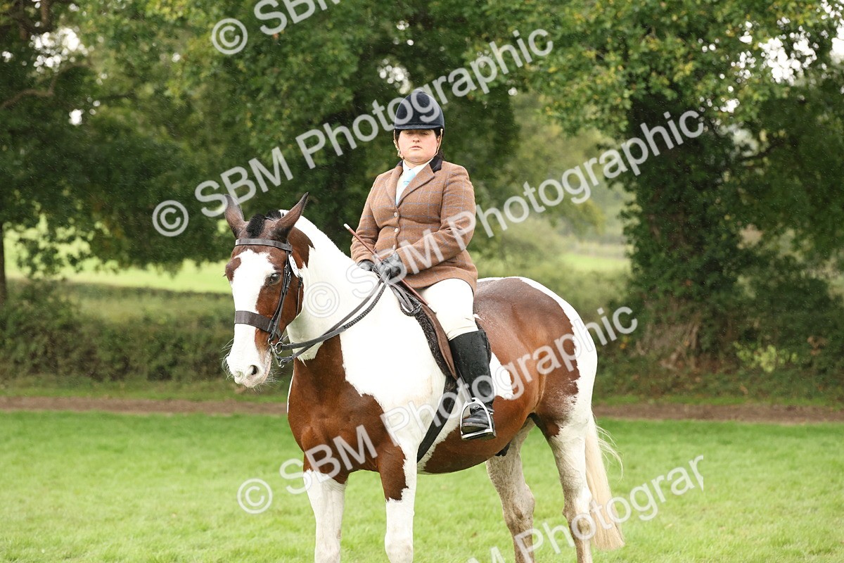 SBM_69833 - S69 - Show Cob Ridden