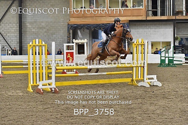 BPP_3758 - FRI CLASS 21 BR NOVICE/90CM